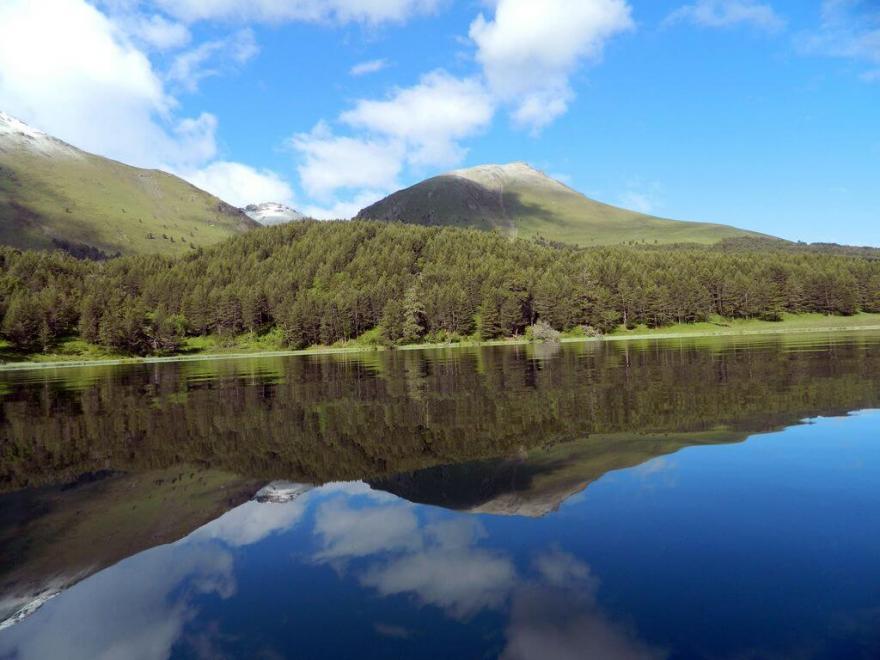 Золотой баран уже спит...